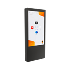 Aurora (с индукционной петлей и Kiosk Info)