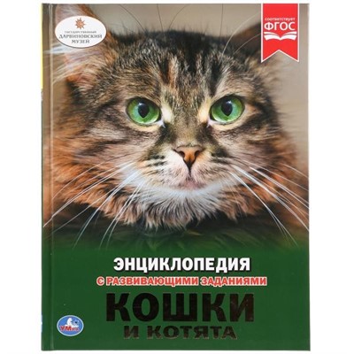 Книга Умка 978-5-506-02698-3 Энциклопедия.Кошки и котята.А4 - фото 26571717