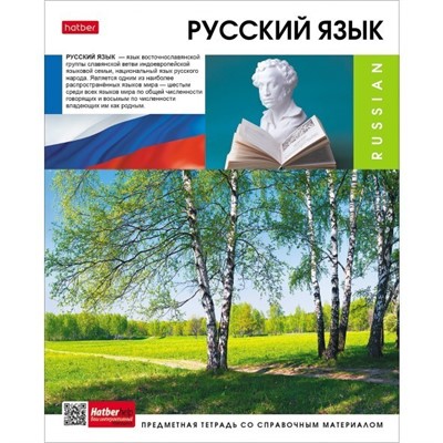 Тетрадь предмет 46 л. Вперед к знаниям РУССКИЙ ЯЗЫК 48Т5Вd2_30631 Hatber - фото 28025867