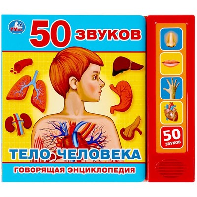 Книга Умка 9785506039846 Тело человека.5 кнопок 50 звуков - фото 28027849