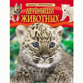 Книга 978-5-353-06868-6 Детеныши животных.Детская энциклопедия - фото 28359159