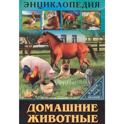 Книга Энциклопедия В Мире знаний 978-5-378-27606-6 Домашние животные - фото 31269832