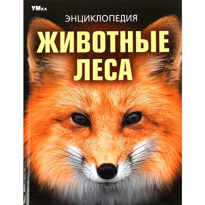 Книга Умка 9785506091080 Животные леса. Энциклопедия - фото 31895127