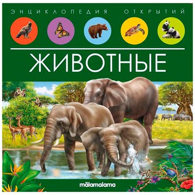 Книга 9785001347965 Энциклопедия открытий. Животные - фото 32997229