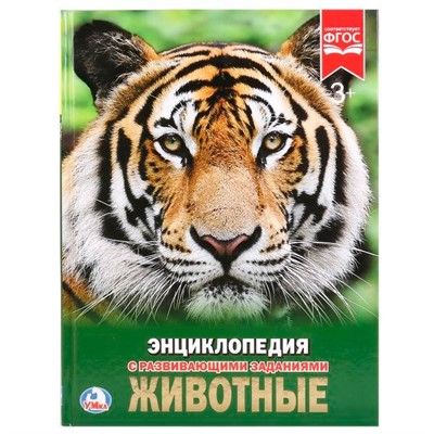 Книга Умка 978-5-506-02107-0 Энциклопедия.Животные - фото 33000497