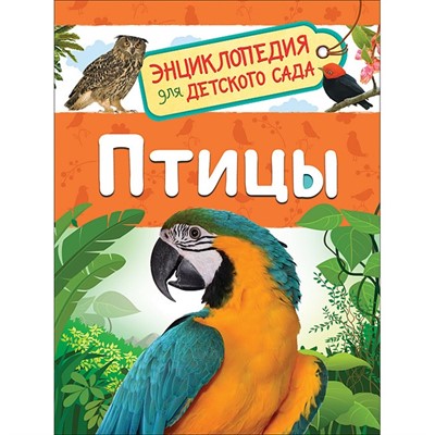 Книга 978-5-353-09340-4 Птицы.Энциклопедия для детского сада - фото 33016110