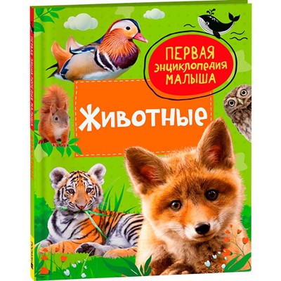 Книга 978-5-353-10380-6 Животные. Первая энциклопедия малыша - фото 33025667