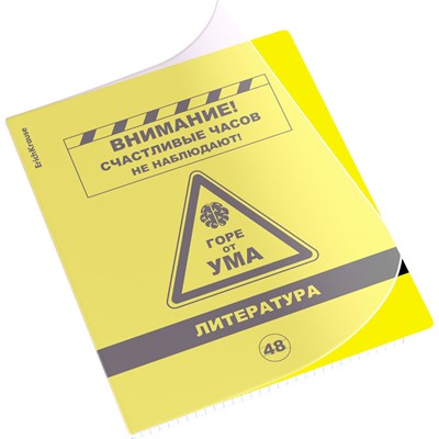 Тетрадь 48 л. линейка Be Informed, Литература 59481 ErichKrause - фото 41771838