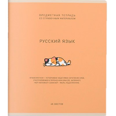 Тетрадь 48 л. Линия Ми-ни-Ми Русский язык 022471 - фото 43806045