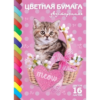 Бумага цвет 16 л 16 цв двусторонняя ECO Котик 15026 Hatber - фото 47035878