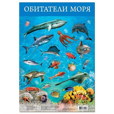 Плакат Обитатели моря 3410 - фото 47035978