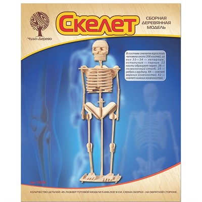 Деревянный конструктор Скелет человека P076 - фото 47037141