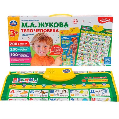 Электронный плакат М.Жукова Тело человека HX0251-R93 - фото 47040865