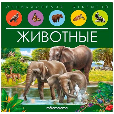 Книга 9785001347965 Энциклопедия открытий. Животные - фото 47051511