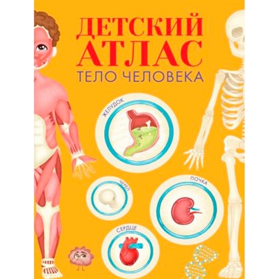 Атлас 978-5-378-33092-8 Детский атлас. Тело человек 236х336 - фото 47055739