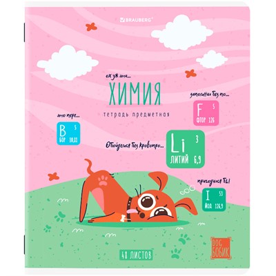 Тетрадь 48 л. предмет DOG БОБИК ХИМИЯ, клетка 404793 - фото 47057225