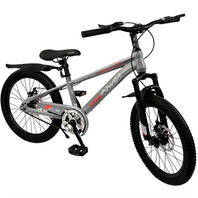 Велосипед двухколесный 20" WILLPOWER светло - серый FG240528004L-2 - фото 47072775