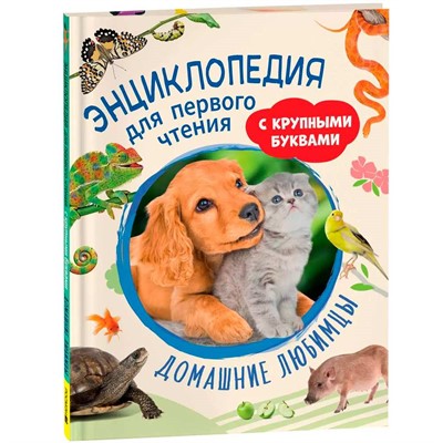 Книга 978-5-353-10724-8 Домашние любимцы. Энциклопедия для первого чтения с крупными буквами - фото 47076760