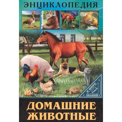 Книга Энциклопедия В Мире знаний 978-5-378-27606-6 Домашние животные - фото 47079631
