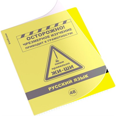 Тетрадь 48 л. линейка Be Informed, Русский язык 59480 ErichKrause - фото 47082119