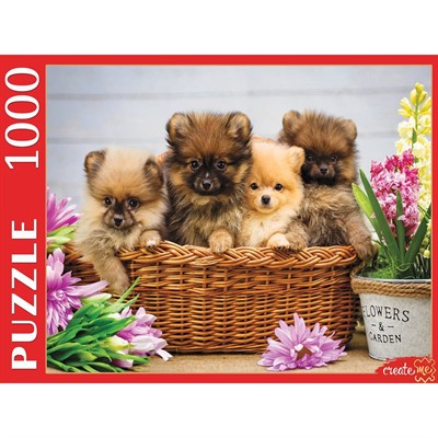 Пазл 1000 Милые щенки Шпица ШТ1000-3890 - фото 47088782