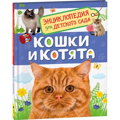 Книга 978-5-353-08776-2 Кошки и котята.Энциклопедия для детского сада. - фото 47092068