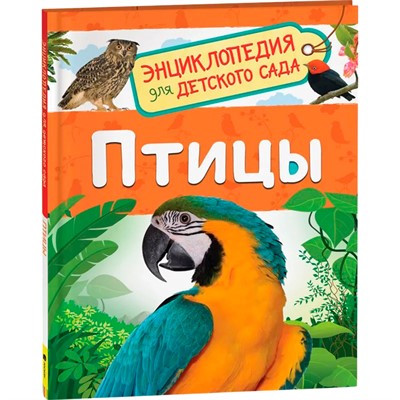 Книга 978-5-353-09340-4 Птицы.Энциклопедия для детского сада - фото 47092127