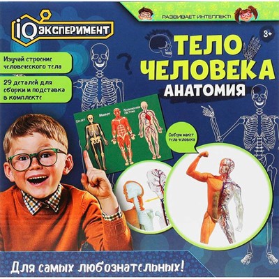 Набор Опыты тело человека IQ Эксперимент A365-H24040-R - фото 54343009