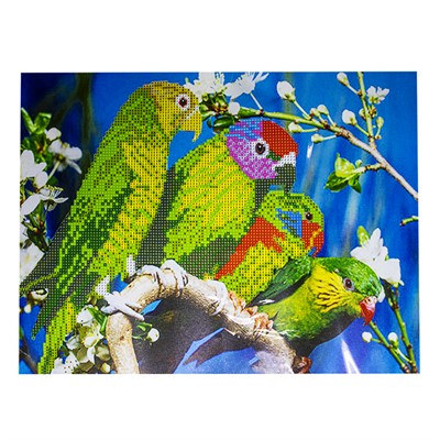 Набор для творчества Алмазная мозаика Попугай 40*50см частичная выкладка 87221 - фото 60837128
