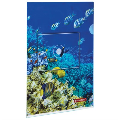 Папка уголок А4 SEA WORLD 228042 BRAUBERG - фото 62759783