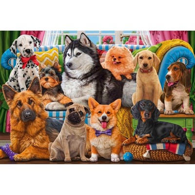 Набор для творчества Роспись по холсту 30х40 см Собачки разных пород ХК-6604 - фото 62764269