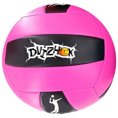 Мяч Волейбол №5 Dvizhok 141V-373 - фото 62765073