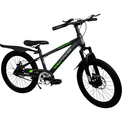 Велосипед двухколесный 20" WILLPOWER тёмно - серый FG240528004L-1 - фото 62768526