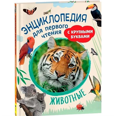 Книга 978-5-353-10249-6 Животные. Энциклопедия для первого чтения с крупными буквами - фото 62779789