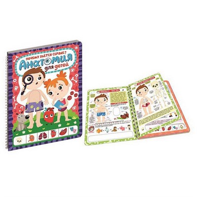 Книга на пружинке 9785001340492 Почему бьется сердце?Анатомия для детей - фото 62781580