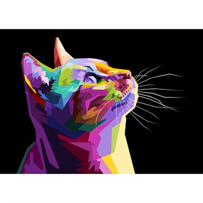 Набор для творчества Роспись по холсту 22х30 см Разноцветная кошка Х-4067 - фото 62785163