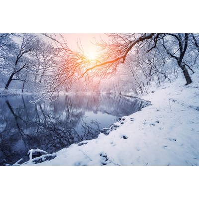 Набор для творчества Роспись по холсту 30х40 см Лесное озеро Х-7562 - фото 62785172