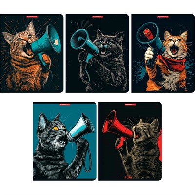 Тетрадь 96 л. клетка КотоКрик 15174/5 - фото 62790593