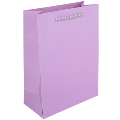 Пакет 18*8.5*24 см цвета в ассорт. 141V-1002 - фото 62794911