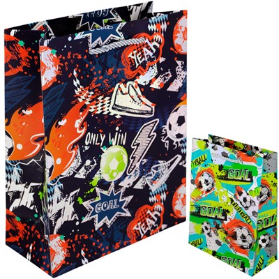 Пакет 18*23*8 см Мячи 141V-1042 - фото 62796184