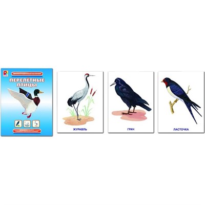 Игра Перелетные птицы С-765 - фото 62803459