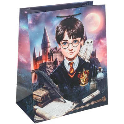 Пакет Чудо праздник матовый l Школа волшебства PL-130218-HP - фото 62808435