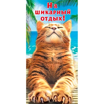 Конверт для денег На шикарный отдых 7.0000443 - фото 62811497