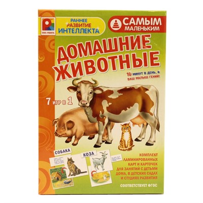 Игра Самым маленьким.Домашние животные С-974 - фото 65072319