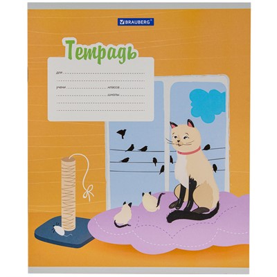 Тетрадь 12 л. линия КОТ 106472  BRAUBERG - фото 69740843