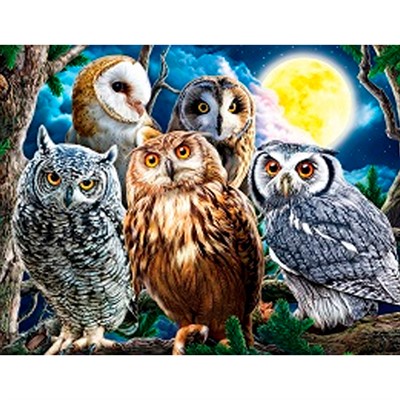 Набор для творчества Роспись по холсту 30х40 см Ночные совы на ветке ХК-6606 - фото 69742242