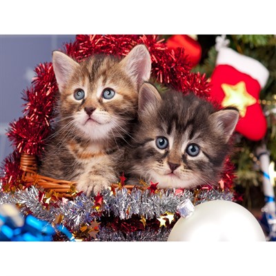 Набор для творчества Роспись по холсту 40х50 см Котята в новогодней корзине Х-7569 - фото 69747180