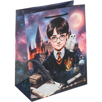 Пакет Чудо праздник матовый м Школа волшебства PM-130216-HP - фото 69751395