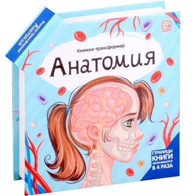 Книга-трансформер 9785001349228 Анатомия - фото 69760009