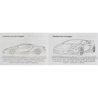 Раскраска 9785506081333 Ламборгини /100/ - фото 69764122